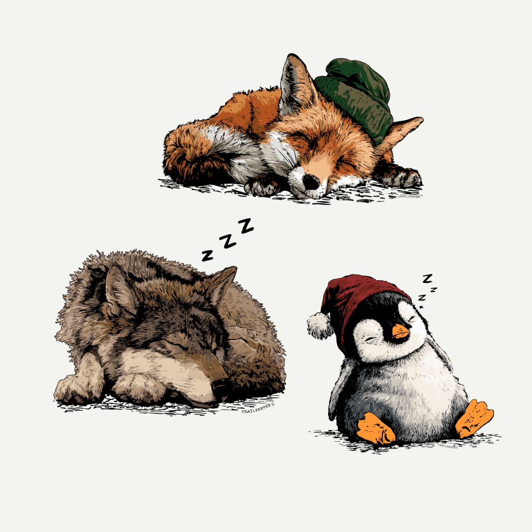 Sleeping Animals
