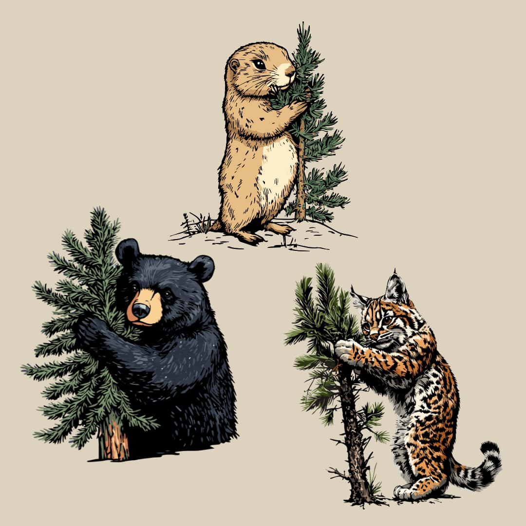 Animal Tree Huggers