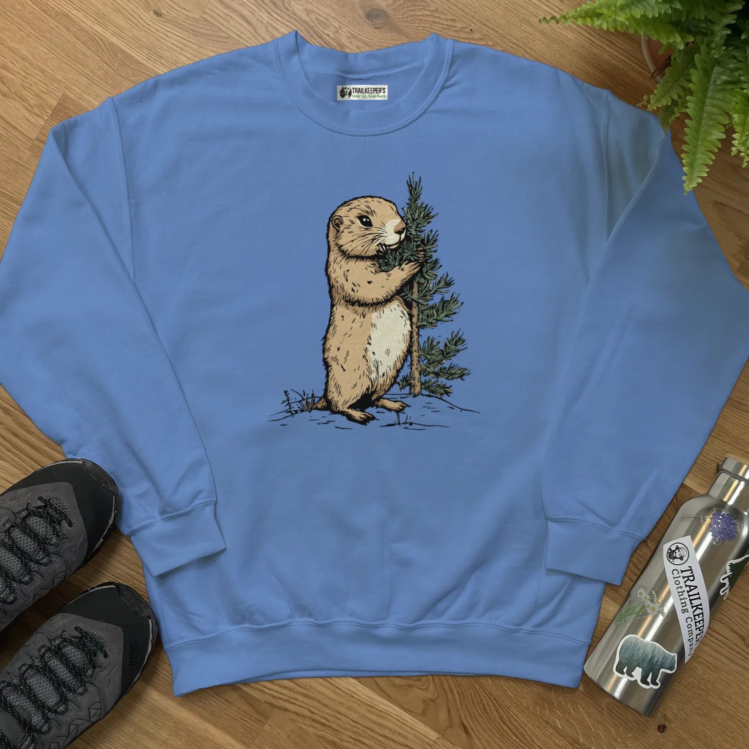 carolina blue