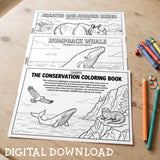 Conservation Learning Coloring Book