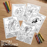 Wild Packs Coloring Book