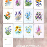 Wildflower Post Cards Variety Pack