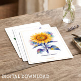 Wildflower Post Cards Variety Pack