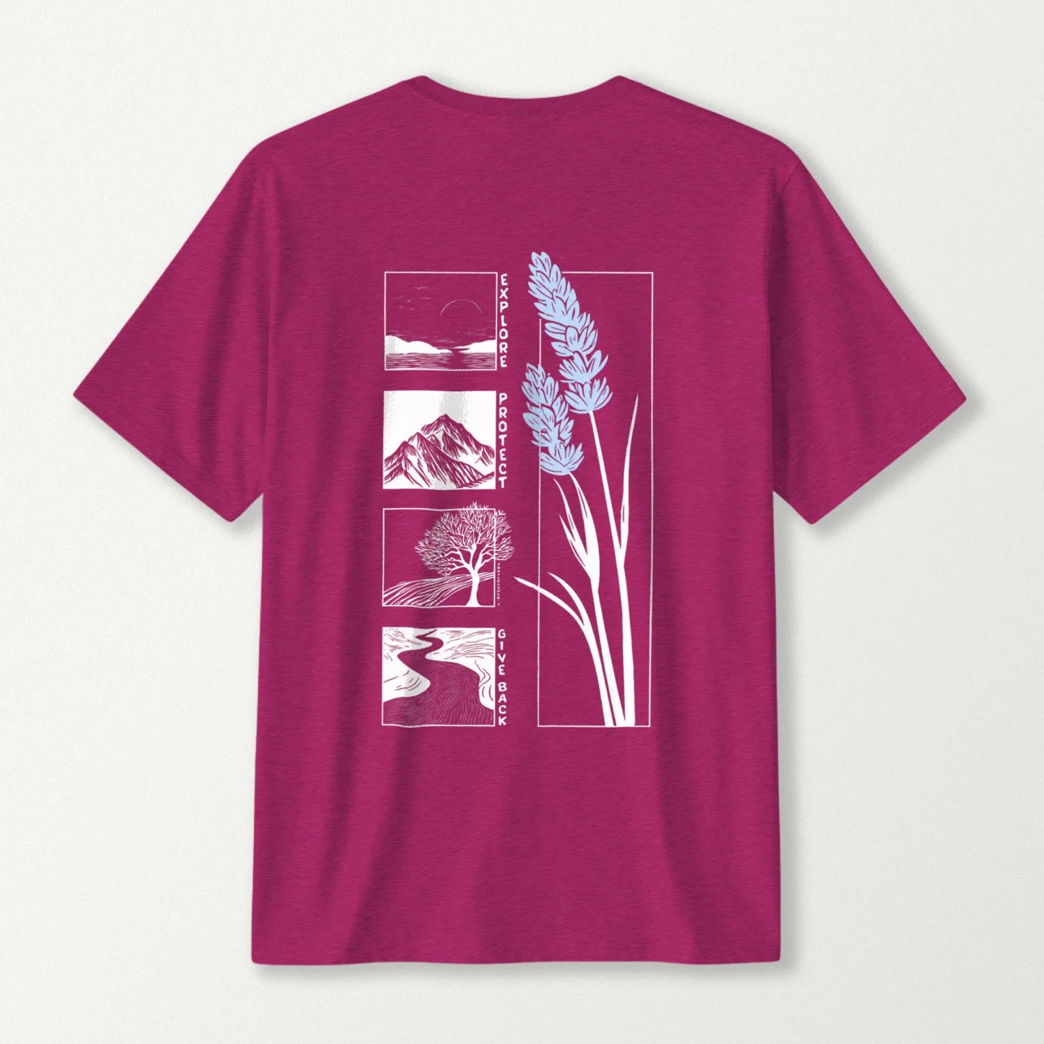 antique heliconia_back