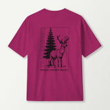 antique heliconia_back