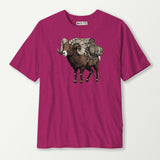 antique heliconia_front