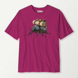 antique heliconia_front