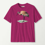 antique heliconia_front