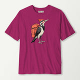 antique heliconia_front