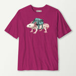 antique heliconia_front