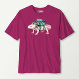 antique heliconia_front