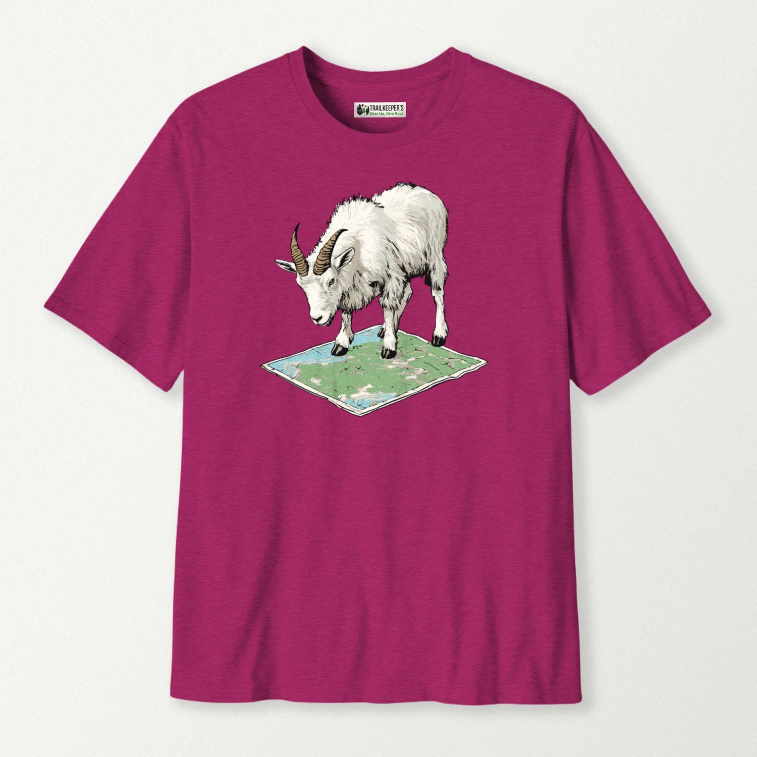 antique heliconia_front