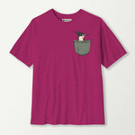 antique heliconia_front