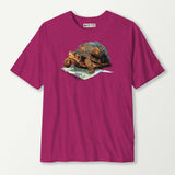 antique heliconia_front