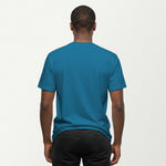 antique sapphire_back_man