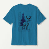 antique sapphire_back