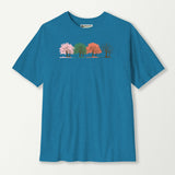 antique sapphire_front