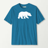 antique sapphire_front