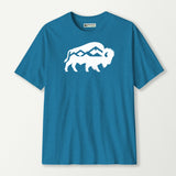 antique sapphire_front