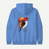carolina blue_back
