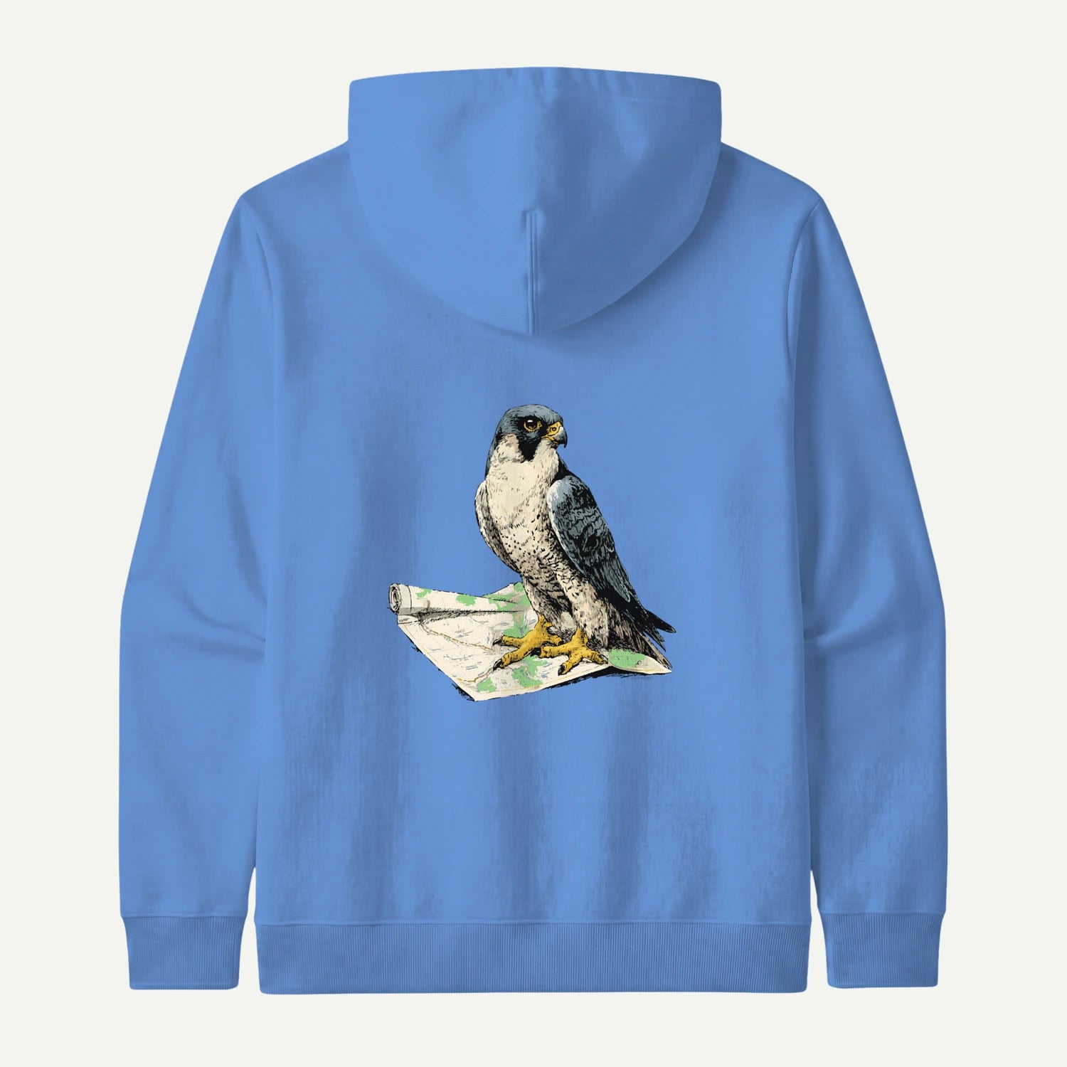 carolina blue_back