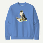 carolina blue_front