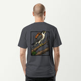 dark heather_back_man