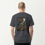 dark heather_back_man