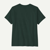 forest_back