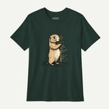 forest_front