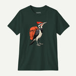forest_front