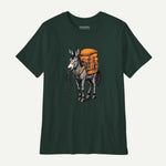 forest_front