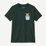 forest_front