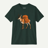 forest_front