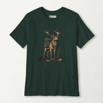 forest_front