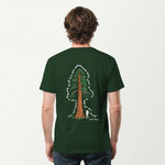 forest green_back_man
