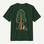 forest green_back
