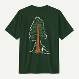 forest green_back
