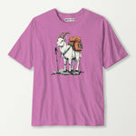 heather radiant orchid_front