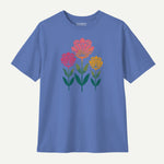 iris_front