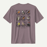 paragon_back