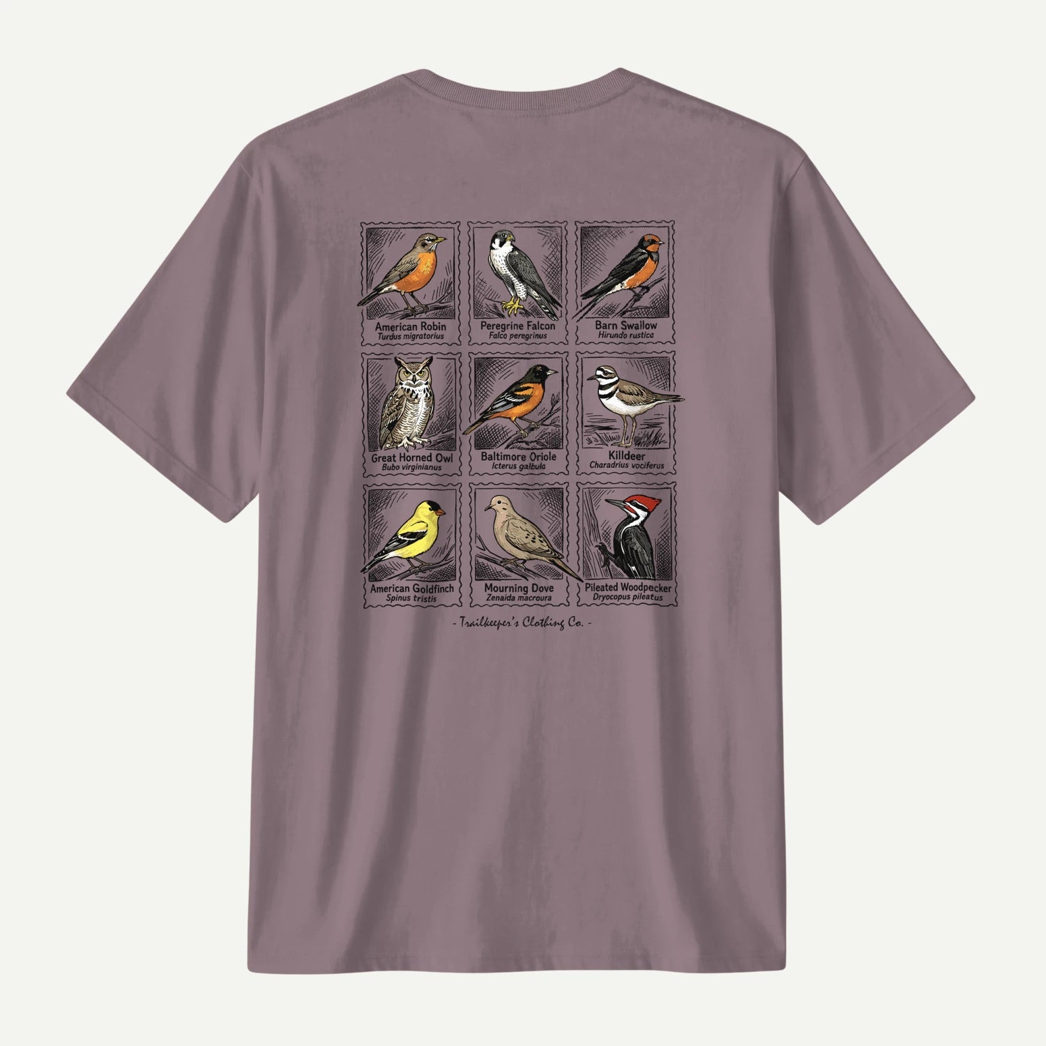 paragon_back