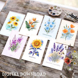 Wildflower Post Cards Variety Pack